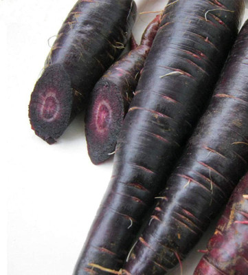 CYBEXIS Purple Carrot Vegetable Seeds2000 Seeds Seed(2000 per packet)
