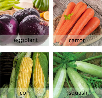 CYBEXIS 4 Varities Combo-Eggplant,Carrot,Corn,Squash Seed(10 g)