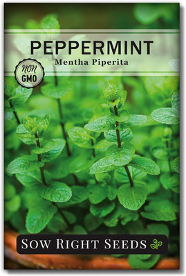 Qualtivate AXL-1AT Peppermint Seed(200 per packet)