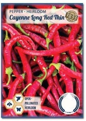 CYBEXIS Cayenne Long Red Heirloom Pepper Chilli2400 Seeds Seed(2400 per packet)