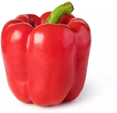 VASUDHA Red Shimla Mirch/Capsicum/Bell Pepper Seed(800 per packet)