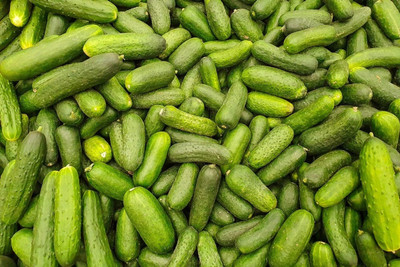 KS TRADERS Fresh VNR Cucumber Vegetable Hybrid Seed(1 per packet)