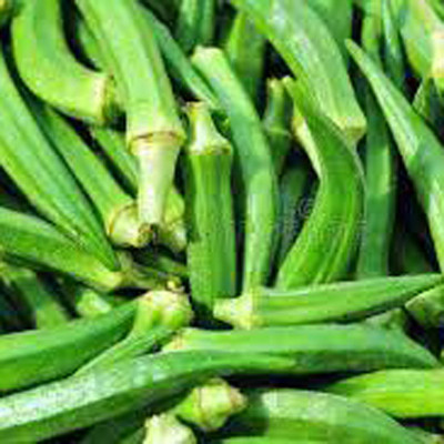 SREE Okra Seeds, Ladyfinger Hybird Seeds, Organic Vegetable Seed(42 per packet)