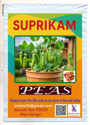 SUPRIKAM BIG SIZE PEAS/MATAR/MATARSHUTI GROW IN YOUR GARDEN TO CREAT NATUTE BEAUTY Seed(28 per packet)