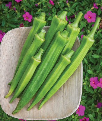 Farmonix Z1348_T_Baby Bubba Okra Seeds Seed(150 per packet)