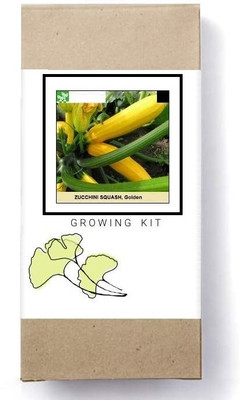 Biosnyg Golden Zucchini Squash[100 Seeds] Seed(100 per packet)