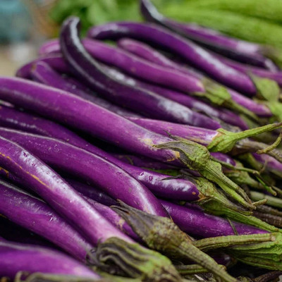 DEYS AGRO ™ brinjal seeds, jungle long brinjal seeds hybrid, begun|baigan|bagan Seed(185 per packet)