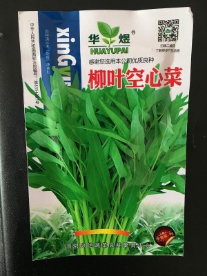 KNESSiN VXI-72 Water Spinach Seed(200 per packet)