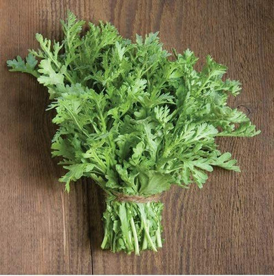 VibeX NDIR-34 - Asian Shungiku Celery - (2250 Seeds) Seed(2250 per packet)