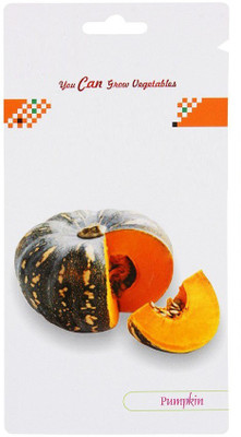 CYBEXIS Pumpkin Hybrid Seeds100 Seeds Seed(100 per packet)