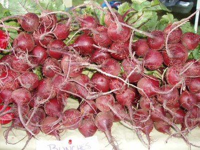MYLAWN Beetroot - Boston Seed(100 per packet)