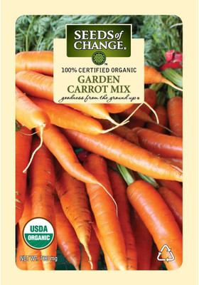 VibeX GBPUT-44 - Orange Carrot - (250 Seeds) Seed(250 per packet)