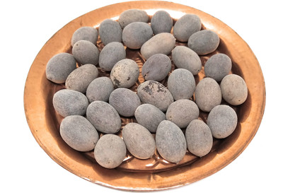 Astrosale Lotus Seeds Seed(15 per packet)