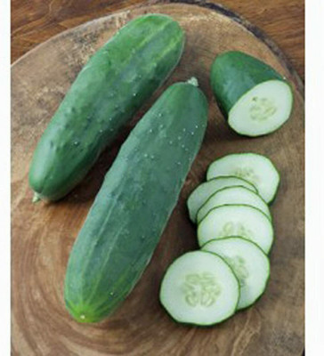 WHYGI Whopper II Hybrid Cucumber, Hardy and Dark Seeds-CuC_745 Seed(150 per packet)