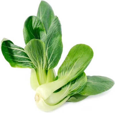 WILLVINE HUA -VII Chinese Cabbage Bok Choy [50g] Seed(15000 per packet)