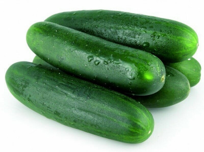 Quentova CUCUMBER SEEDS SUNNY CREEK-NCS-10F Seed(300 per packet)