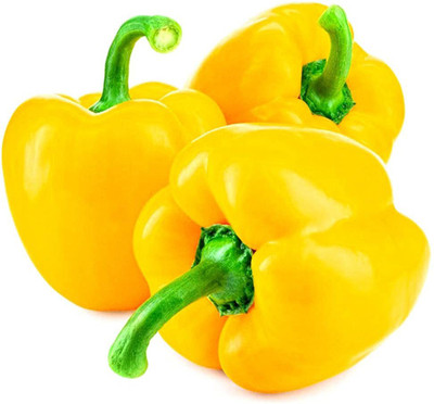 CYBEXIS GBPUT-61 - F1 Capsicum Yellow Hybrid - (150 Seeds) Seed(150 per packet)