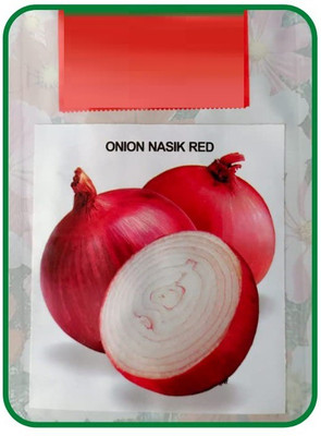 WILLVINE NKR -VII ONION DESI TEJAS-57 SEED [1g] Seed(750 per packet)