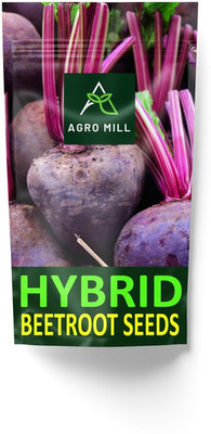 AGRO MILL HYBRID F1 PREMIUM QUALITY BEETROOT/GARDEN BEET/CHUKANDER FOR HOME KITCHEN GARDEN Seed(30 per packet)