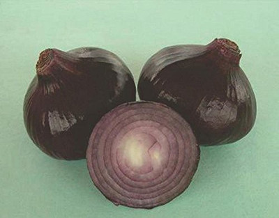 WILLVINE NDIR-1020 Black Gold Kanda Onion,Blackish Red Seed(1000 per packet)