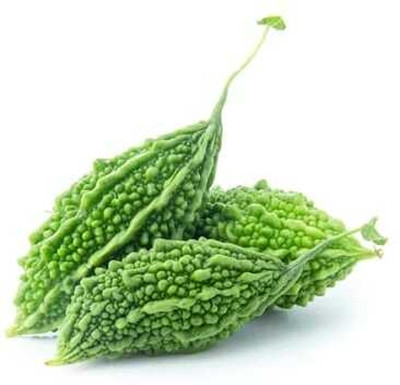 WILLWE F1 BEST QUALITY BITTER GOURD SEEDS Seed(31 per packet)