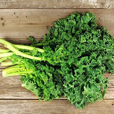 WILLVINE MEH -V Siberian Dwarf Kale [25g] Seed(7500 per packet)