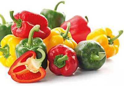 CYBEXIS Mini Capsicum Dwarf Small Bell Pepper Seeds Mixed Color2400 Seeds Seed(2400 per packet)