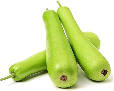 BDSresolve Hybrid bottle gourd seeds/Bottle gourd seeds 37 Seed(37 per packet)