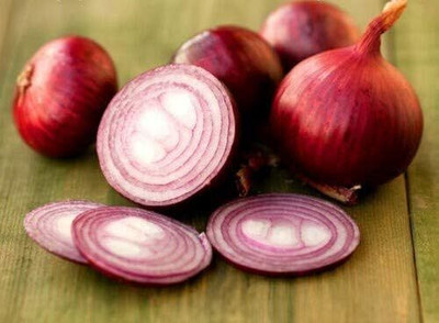 KNESSiN Red Onion Wenta Seed(200 per packet)