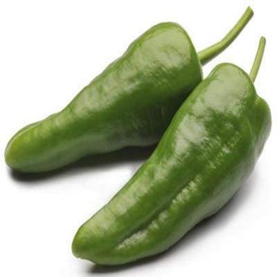 KANAYA Moti Mirch/Pepper Green Hybrid Seed(100 per packet)