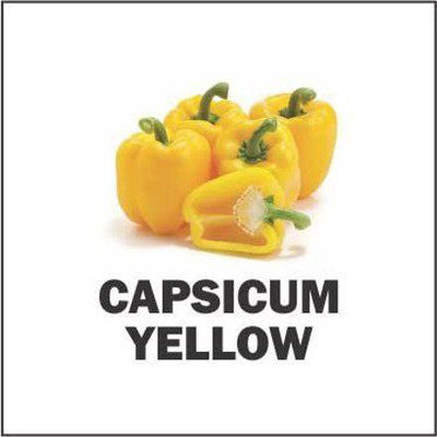 VibeX ® XLR-258 Yellow Capsicum Vegetable Seeds Seed(200 per packet)