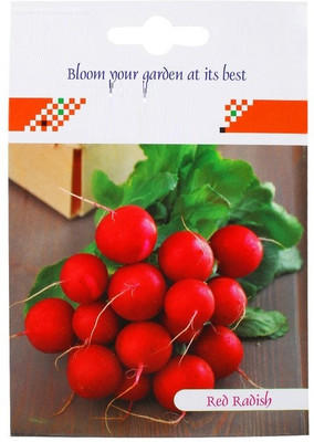 KNESSiN Radish Red Round Veg[600 Seeds] Seed(600 per packet)
