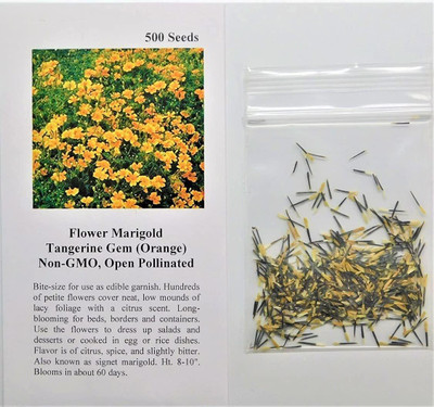 Qualtivate LX-226 Marigold Tangerine Gem (Orange) Seed(500 per packet)
