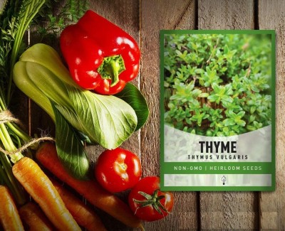 CYBEXIS ATS-67 - Thyme(Thymus Vulgaris)Herb - (1350 Seeds) Seed(1350 per packet)