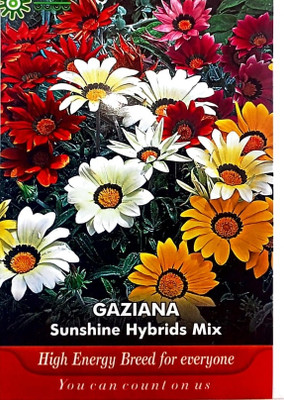 KRASHAK Gazania flower seeds Seed(2 per packet)