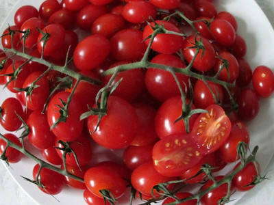 CYBEXIS Seeds of Tomato Piccolo Very Sweet2000 Seeds Seed(2000 per packet)
