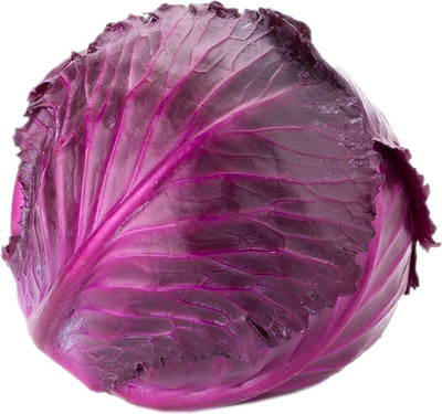 CYBEXIS Fast Germination Cabbage Red Drumhead Seeds2000 Seeds Seed(2000 per packet)