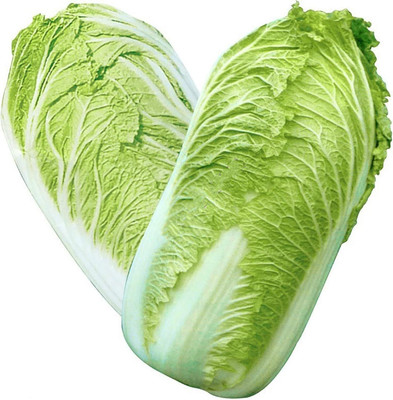 KNESSiN Cabbage Chinese Seed(200 per packet)