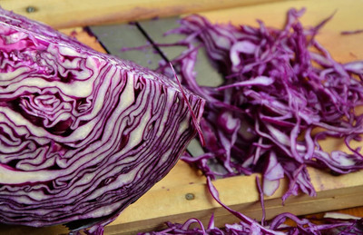 WILLVINE GOI -XI Red Cabbage Vegetable Seeds [10g] Seed(3000 per packet)
