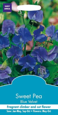 CYBEXIS Flower - Sweet Pea - Blue Velvet Seed(50 per packet)