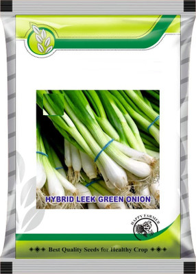 WILLVINE PAU -XIII SPRING CUT BUNCHING ONION/PYAJ PATTA [10g] Seed(7500 per packet)