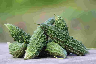 Paudhaa F1 BEST QUALITY BITTER GOURD SEEDS Seed(11 per packet)