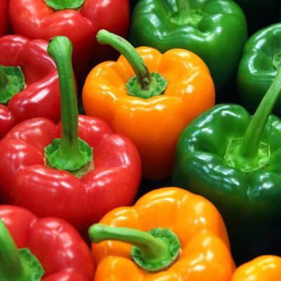 Qualtivate PUA-2A Capsicum Rainbow Mix Seeds Seed(100 per packet)