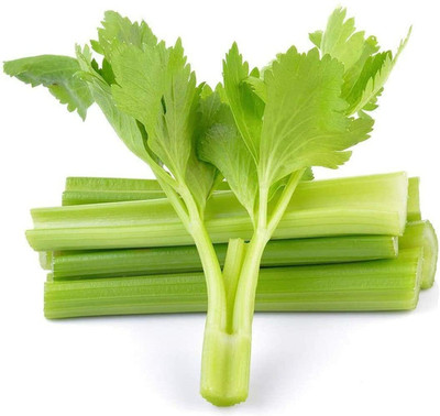 CYBEXIS Celery Seeds Harvest Vegetables Fresh Green2800 Seeds Seed(2800 per packet)