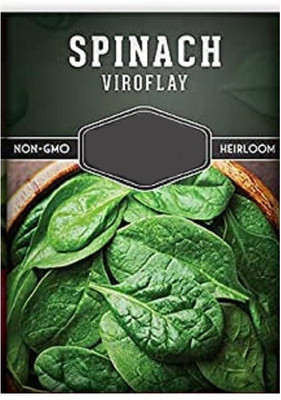 CYBEXIS Viriflay Spinach2000 Seeds Seed(2000 per packet)