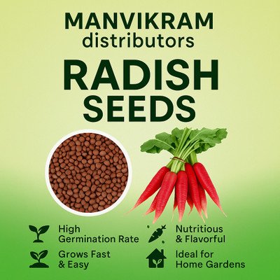 Manvikram MANVIKRAM ORGANIC RADISH SEEDS - 50 SEEDS Seed(5 g)