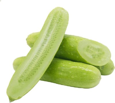 CYBEXIS Organic White Cucumber Seeds2000 Seeds Seed(2000 per packet)