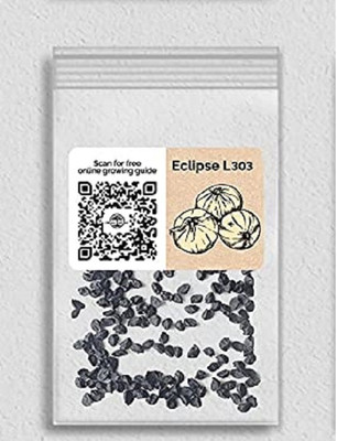 WILLVINE Hybrid Eclipse L303 Onion-200 Seeds Seed(200 per packet)
