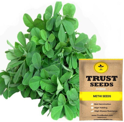 Hybrid Galaxy Fresh Vnr Methi Vegetable Hybrid Quality Seed(100 per packet)