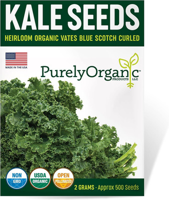 WILLVINE VNR -XIII Kale Seeds (Vates Blue Scotch Curled) [2.5g] Seed(750 per packet)